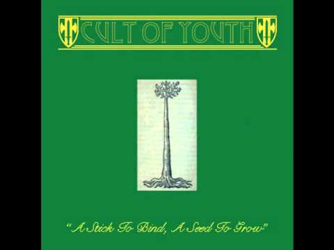 Cult Of Youth 