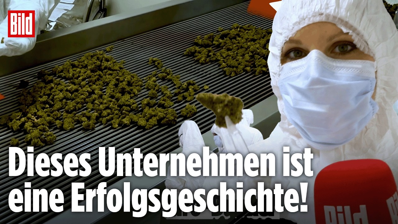 CANNABIS: Exklusiv im Millionenschweren Cannabis-Bunker! Einblicke in das Mega-Imperium