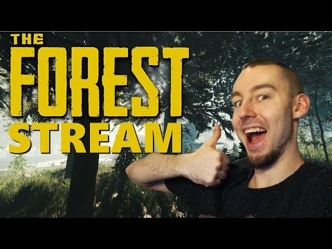 SIEMA GRAMY!!! THE FOREST