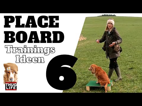 Training mit dem Placeboard - Teil 2