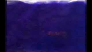 crossing the great waters - an exhibit at Gallery Arcturus
