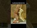 A Professional Ballerina S Feet By Henry Leutwyler Swanlake Ballerina Blackswan Feet