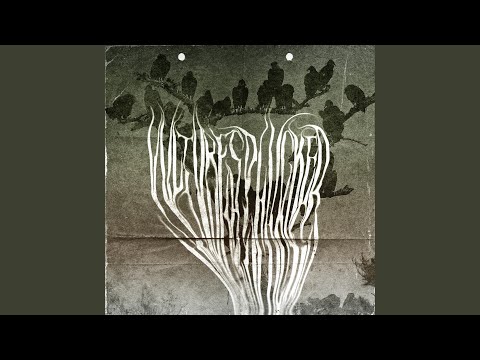 Vultures Plucked (feat. NOSSIBOY, Estilo Gede & Kerse Beats)