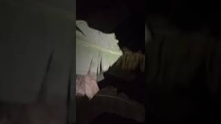 Download lagu mancing ambyar official channel terbaru mp3 Download lagu mancing ambyar official channel terbaru mp3