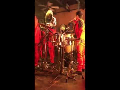 POLLITO TAROLERO DE EL MIMOSO