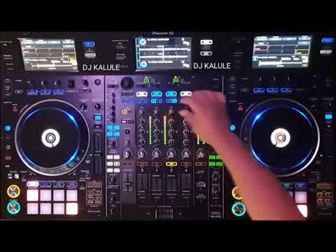 Los Mirlos Remix de exitos 2025