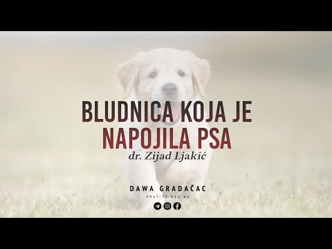 BLUDNICA KOJA JE NAPOJILA PSA - dr. Zijad Ljakić