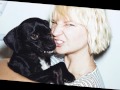 Sia Wild Ones Solo Version Without Flo Rida
