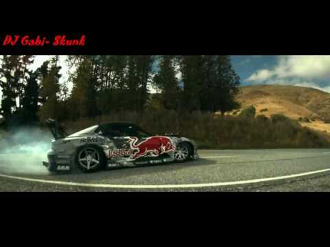 DJ Gabi Remix  - ( Skunk & Roxin  - + Video)