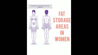 Fat Storage Areas in Women #fatstorageareas #problemareas #bellyfat #armfat #hipfat #thighfat