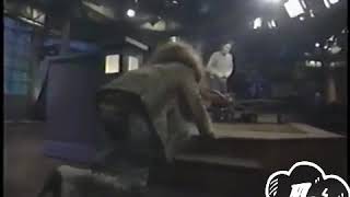 Lunachicks - Jerk of All Trades