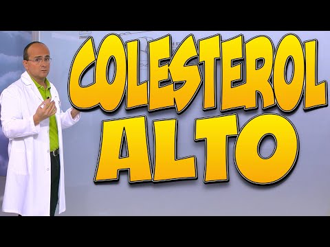 COLESTEROL ALTO - ¿Cuáles son sus CAUSAS y qué CONSECUENCIAS puede tener para la SALUD?