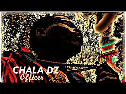 video frame placeholder