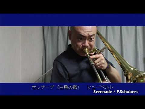 YouTube動画