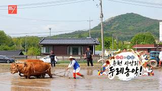 신명과 화합! 춘천 사암리 두레 농악 / 강원매거진7 / [화제 현장] / G1방송 / 260515