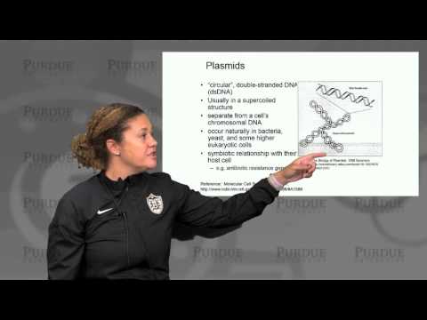 nanoHUB-U Biodesign L2.3: Cellular Architecture - Design Principles of Organelle Number