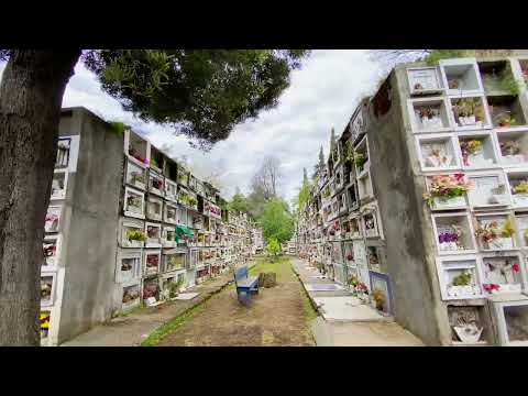 EL CEMENTERIO DE SAN FERNANDO…