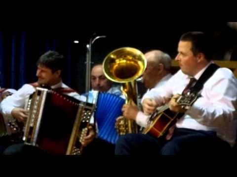 HARMONIKARSKI ORKESTER BARBARA, MIRO KLINC - KONCERT RAVNE PRI SOSTANJU