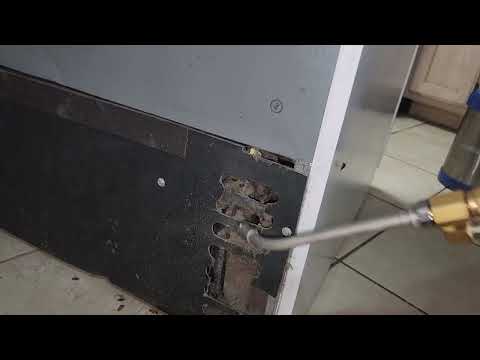 German Cockroaches Infesting the Customer's...