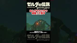 なんか馬によく蹴られる人の初ヒノックス戦【ゼルダの伝説ブレスオブザワイルド】#ブレワイ＃ゲーム実況