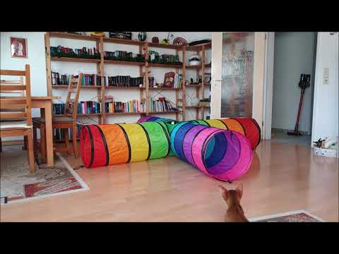 Der Spieltunnel ... von und mit Poldi und Willy