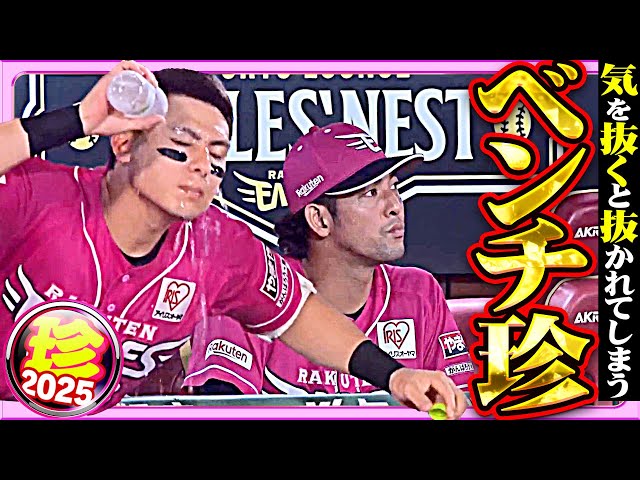 【気を抜けない】”恐怖”ベンチでも油断大敵【珍プレー2025】