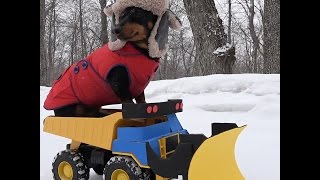 Crusoe Drives Snow Plow During Blizzard!