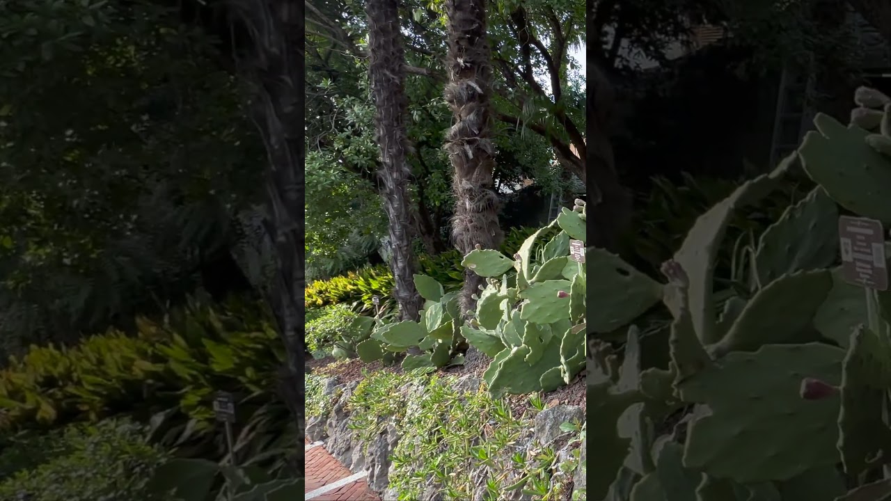 YouTube Short thumbnail