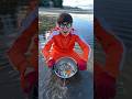 Finding Seashells
