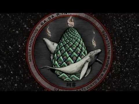 Misty Morning - Forward