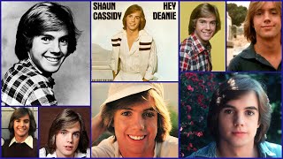 Shaun Cassidy - Hey Deanie (Lyrics)