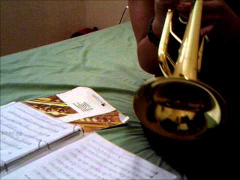 My heart will go on- titanic song on the trumpet