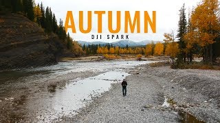 Autumn | DJI Spark