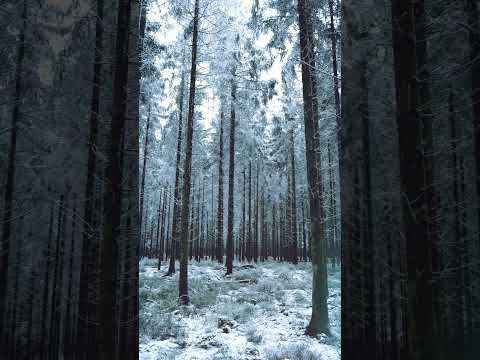 Frisquet Fujifilm XT5  | Cinematic Video 4K 60 F-LOG | Fuji 16-55 2.8