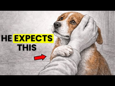 10 Invisible Rules your Dog Wishes you’d Follow