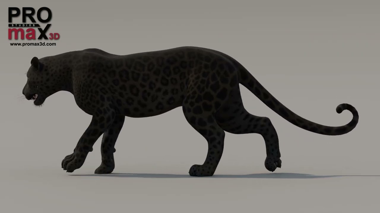 Animated Black Panther 3D Model