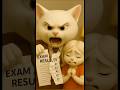 She Stayed 2 Animation Funnyanimal Funny Funnycat Cartoon Funnypet Movie Cat Kitten