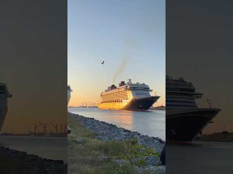 Thumbnail for Disney Fantasy Plays 7 Musical Horns During 1st Sail Away back at Port Canaveral
