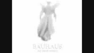 Bauhaus-Adrenalin