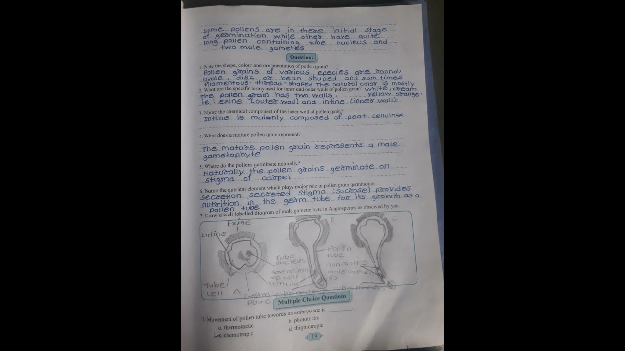 12th class biology practical ## Experiment no:4 study of pollen germination on slide