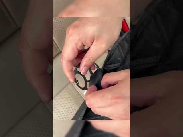 Vídeo relacionado con Bedsure Manta Perro Impermeable y Suave - Protector de Sofá, Cama y Perro Coche, Borreguito y Polar para Gatos, Antideslizante y Lavable (102x127cm, Crema)