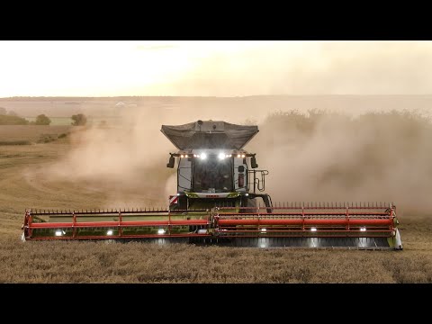 Großeinsatz Getreideernte 2021 | Harvesting | Claas 8900 John Deere X9 Fendt Ideal | Landwirtschaft