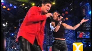 David Hasselhoff, Festival de Viña 2001