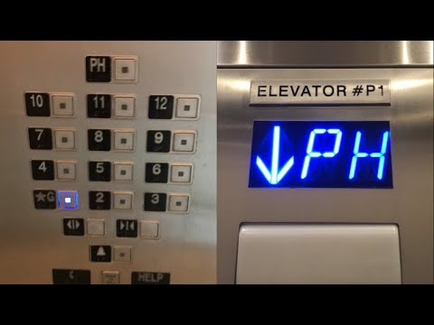 STRANGE Modernized Otis Traction Elevators at the Sonesta in Fort Lauderdale, FL