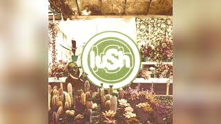 Lush - I&#39;ve Been Here Before (Without original backing vocals)