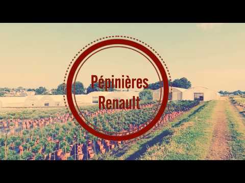 download lagu mp3 mp4 Pepiniere Renault, download lagu Pepiniere Renault gratis, unduh video klip Pepiniere Renault