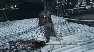 ボス戦のみ動画化していくBloodborne#03（廃城カインハースト）