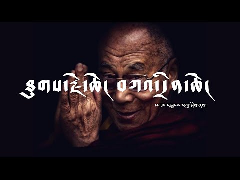 Tibetan Song | ཐུགས་རྗེ་ཆེ། བཀའ་དྲིན་ཆེ། | Thank You His Holiness | Jamyang Tashi