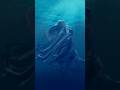 underwater render in Blender & CLO3D