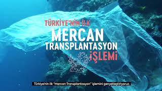 Denizler Yaşam Dolsun